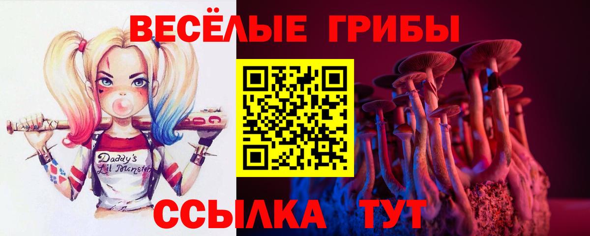 Галлюциногенные грибы GOLDEN TEACHER  Псилоцибиновые грибы мицелий  Вход с VPN  Ачхой-Мартан 
