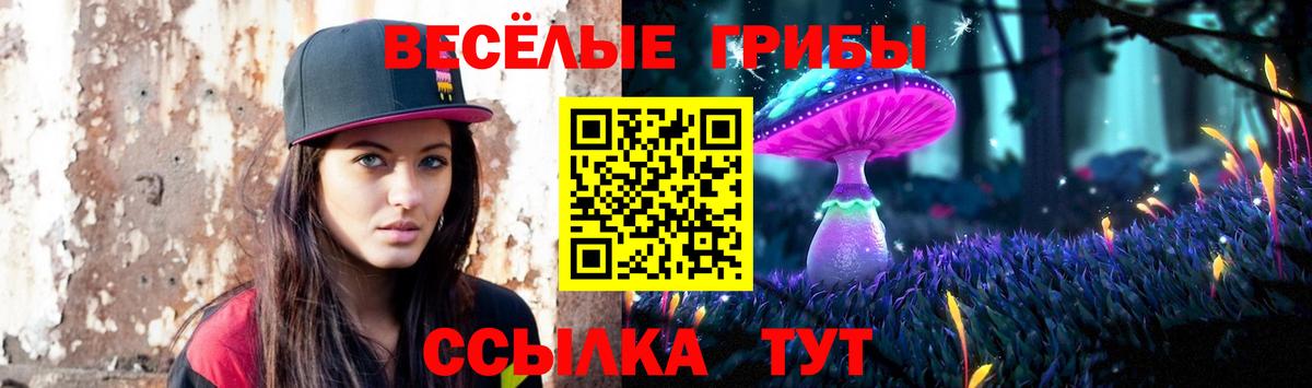 Псилоцибиновые грибы GOLDEN TEACHER Ачхой-Мартан