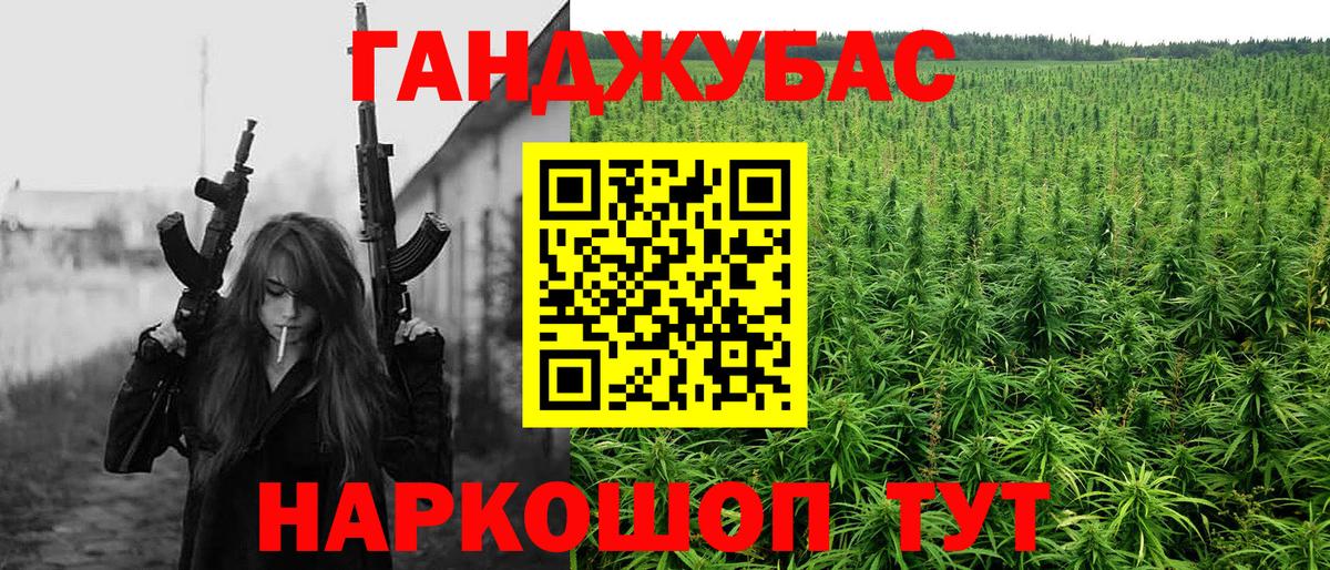 Бошки Шишки гибрид Ачхой-Мартан